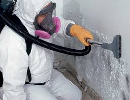  Kaloko, HI Mold Prevention & Removal Pros